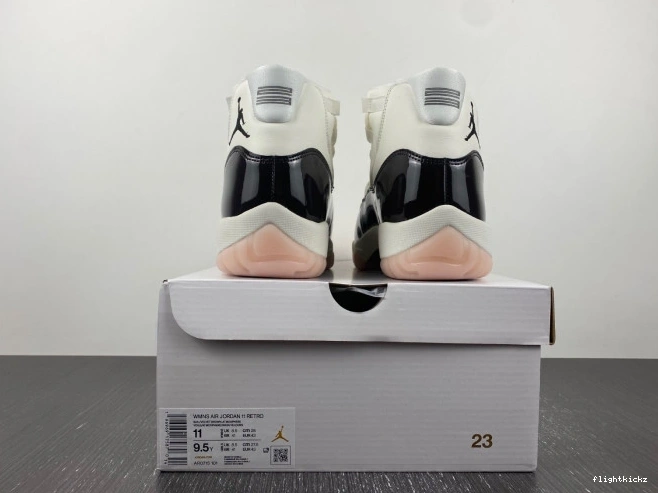 Neapolitan AR0715-101 Jordan Air 11 WMNS 1203